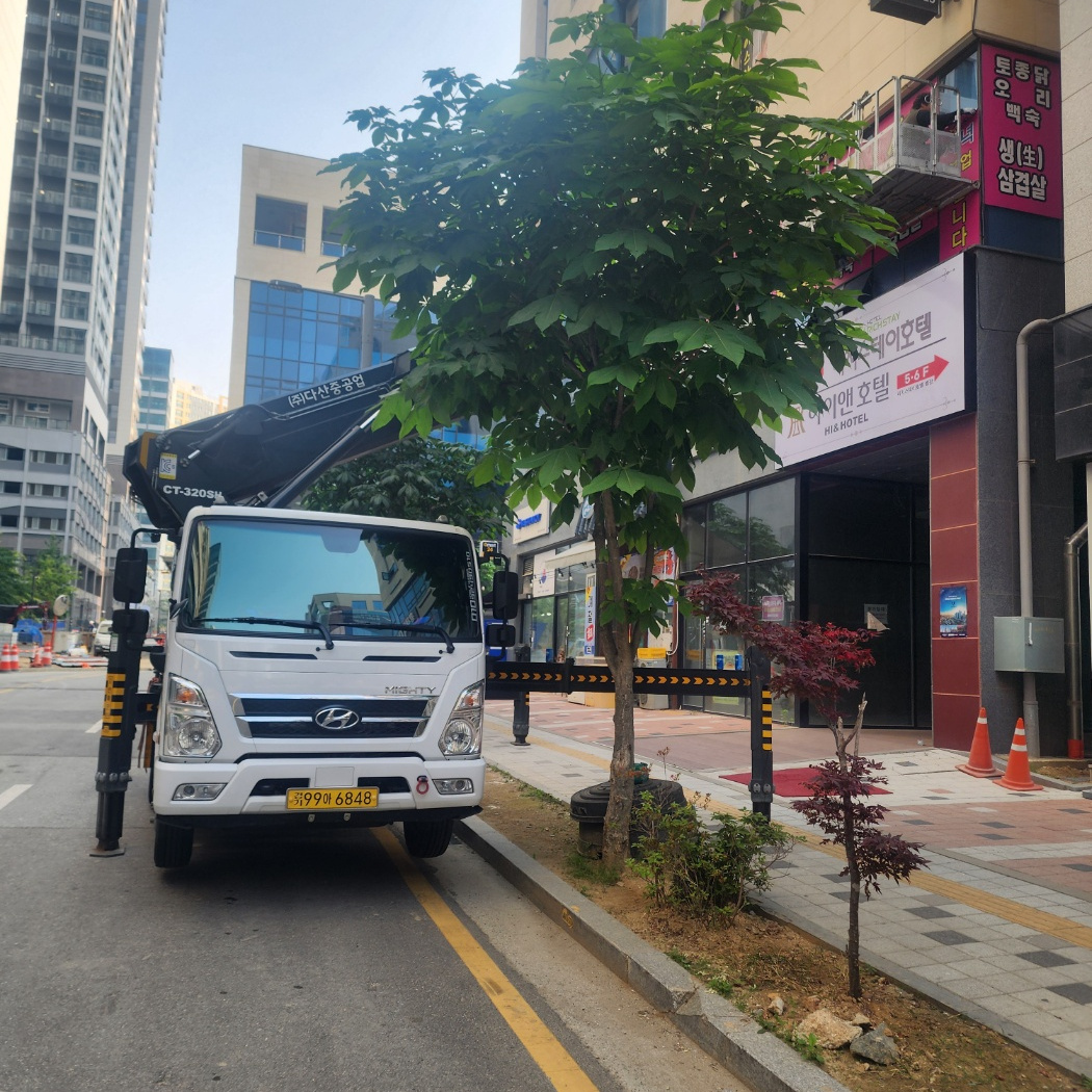 과천 주암동 가로수 전지 스카이차 작업
